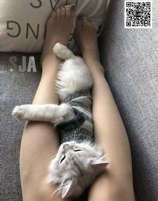 南洋邪术