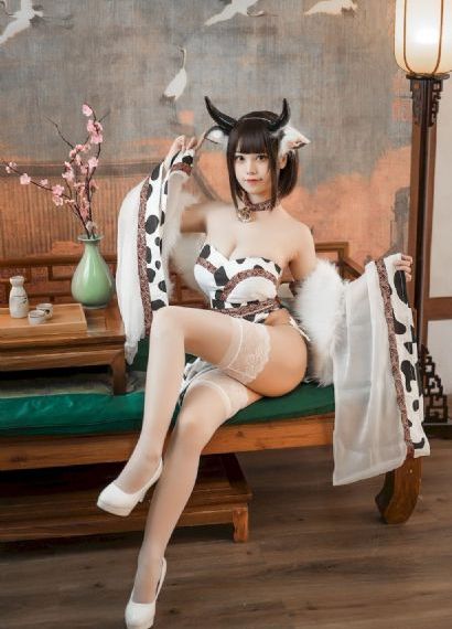 度年华电视剧
