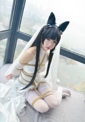 我想看电影hd